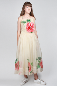 1950s Secret Garden Dress