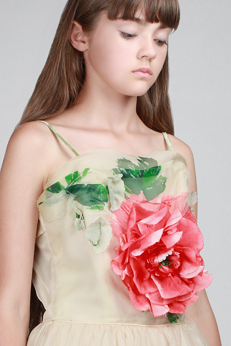 1950s Secret Garden Dress