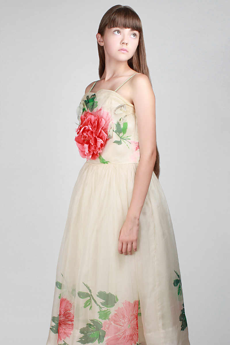 1950s Secret Garden Dress